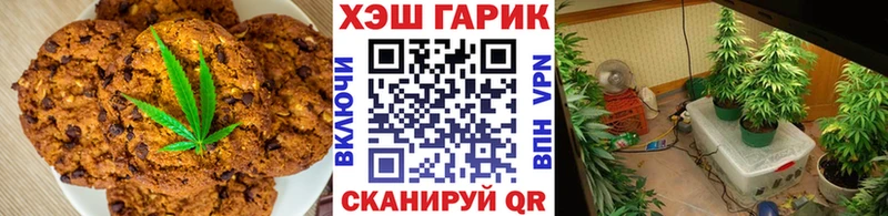 ссылка на мегу ONION Дмитриев Canna-Cookies конопля где можно купить наркотик